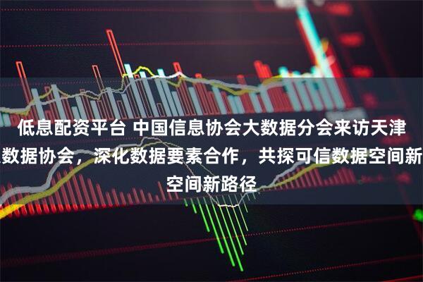 低息配资平台 中国信息协会大数据分会来访天津市大数据协会，深化数据要素合作，共探可信数据空间新路径
