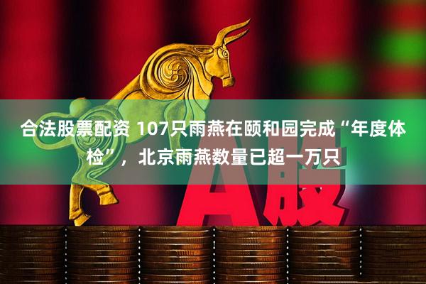合法股票配资 107只雨燕在颐和园完成“年度体检”，北京雨燕数量已超一万只